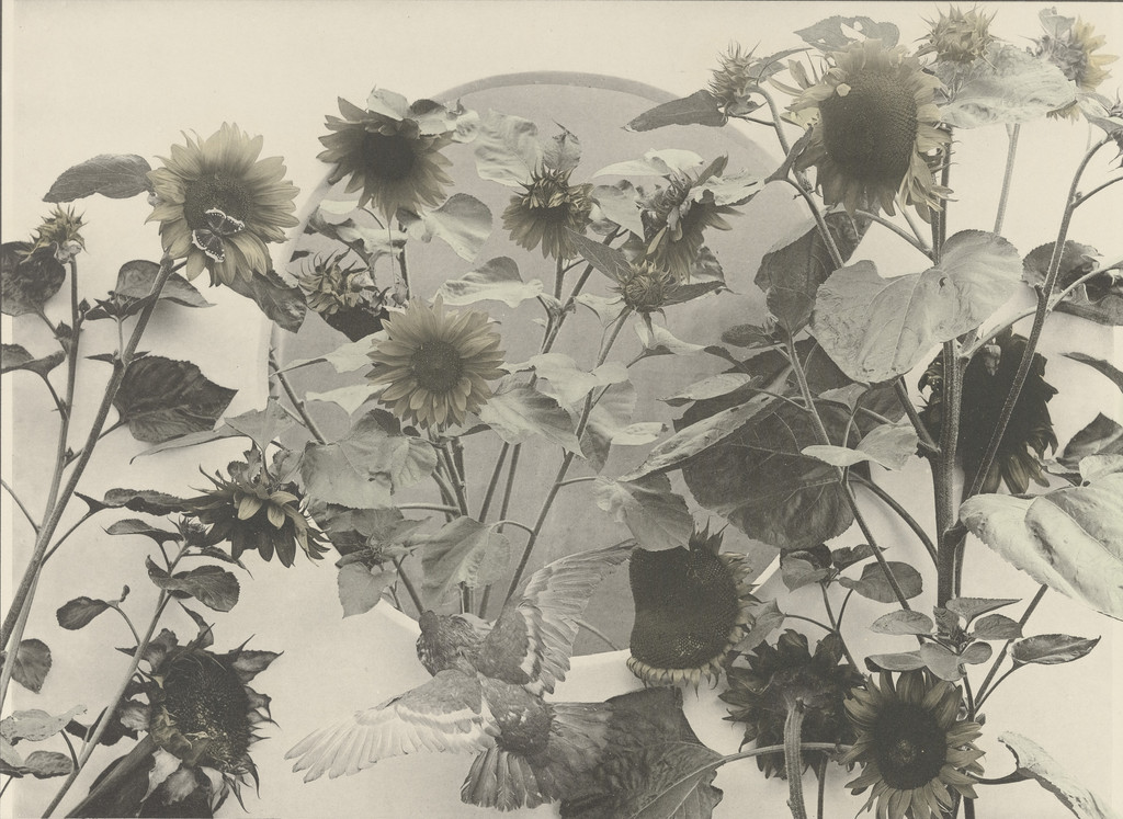 Page from Festons und Dekorative Gruppen