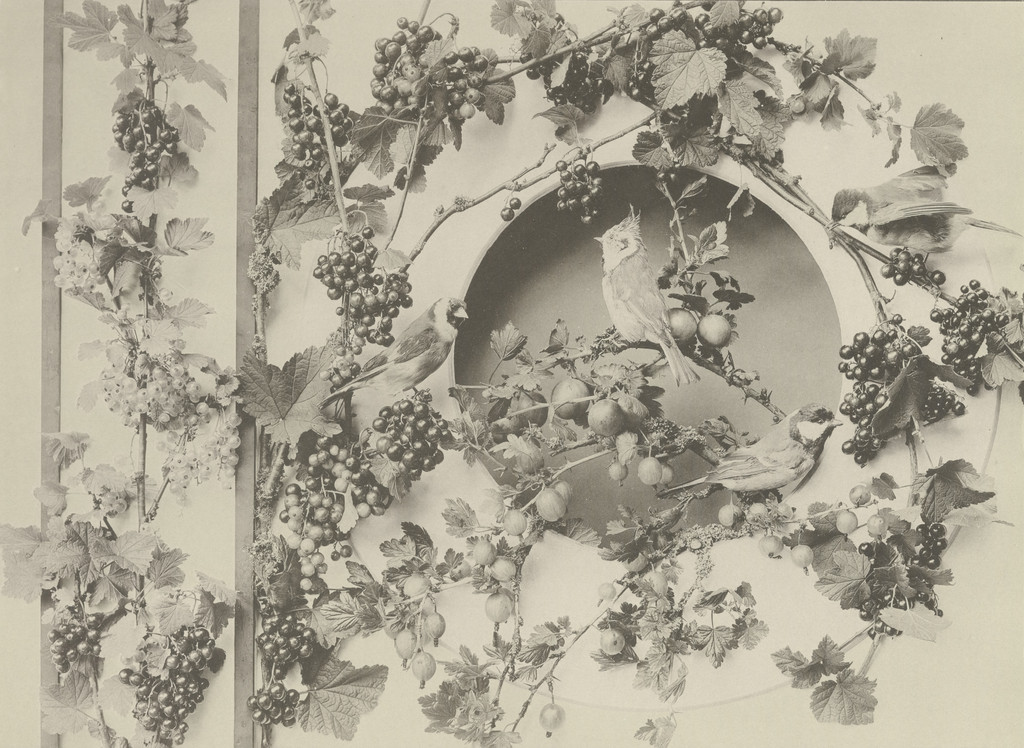 Page from Festons und Dekorative Gruppen