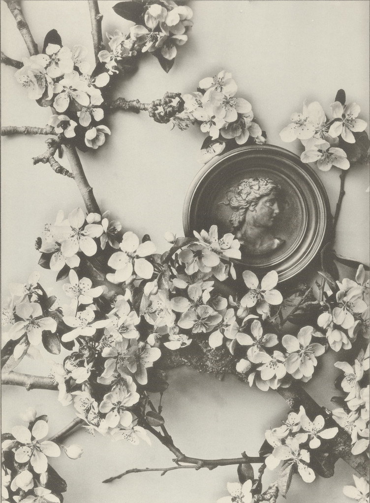 Page from Festons und Dekorative Gruppen