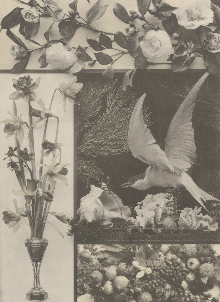 Page from Festons und Dekorative Gruppen