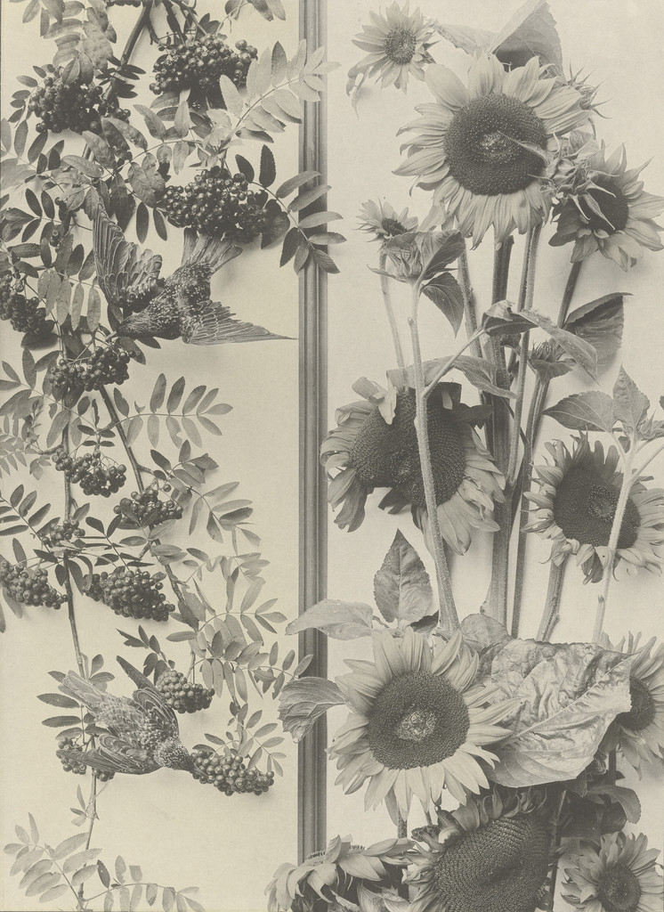 Page from Festons und Dekorative Gruppen