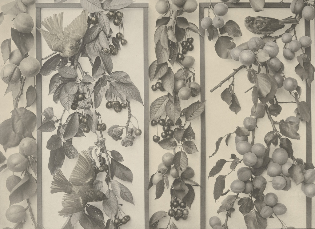 Page from Festons und Dekorative Gruppen