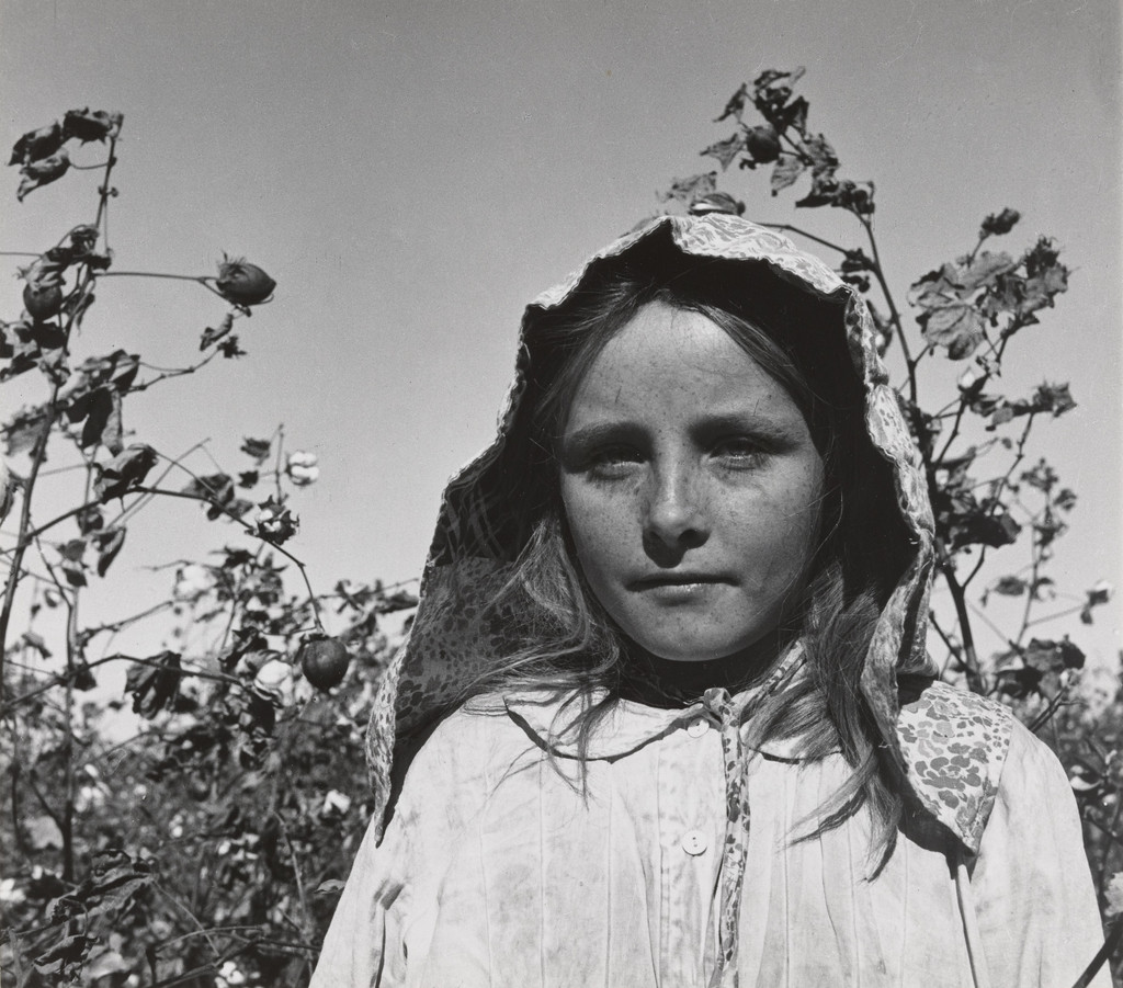 Young Migratory Cotton Picker, Casa Grande, Arizona