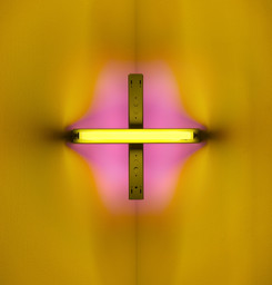 Dan Flavin. untitled. 1969