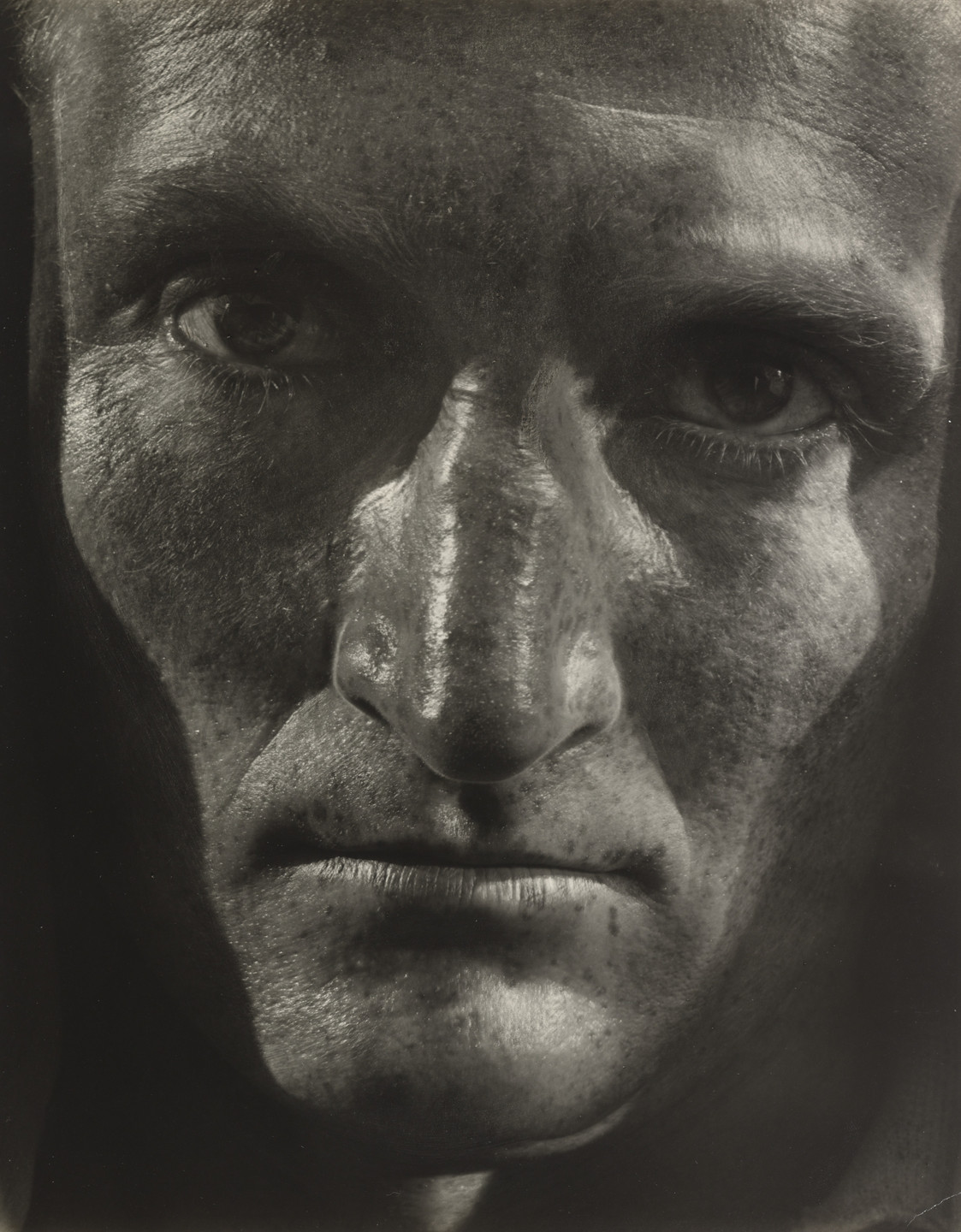 Helmar Lerski. Metamorphosis 599. 1936