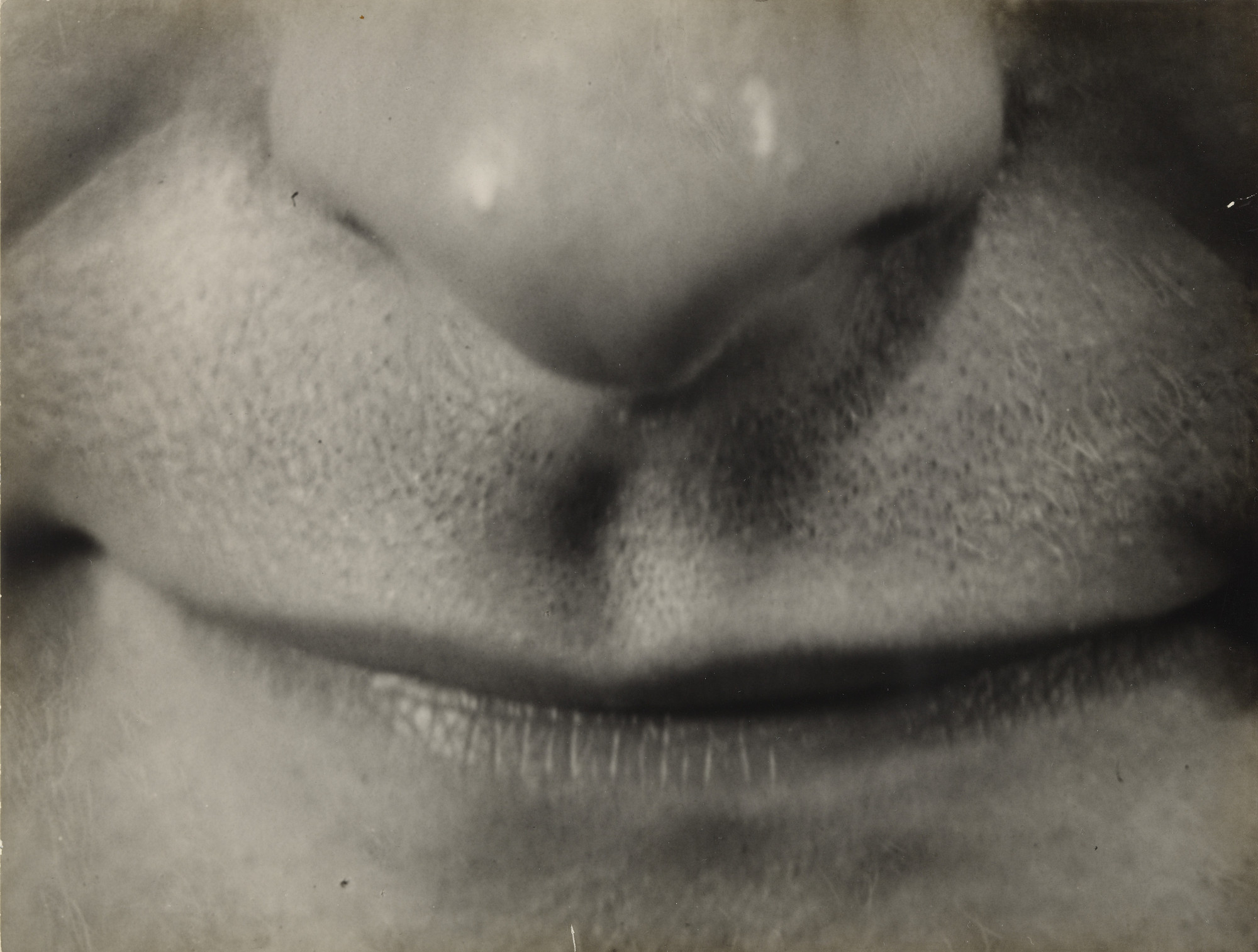 Aenne Biermann. Nose and Mouth. 1929 | MoMA
