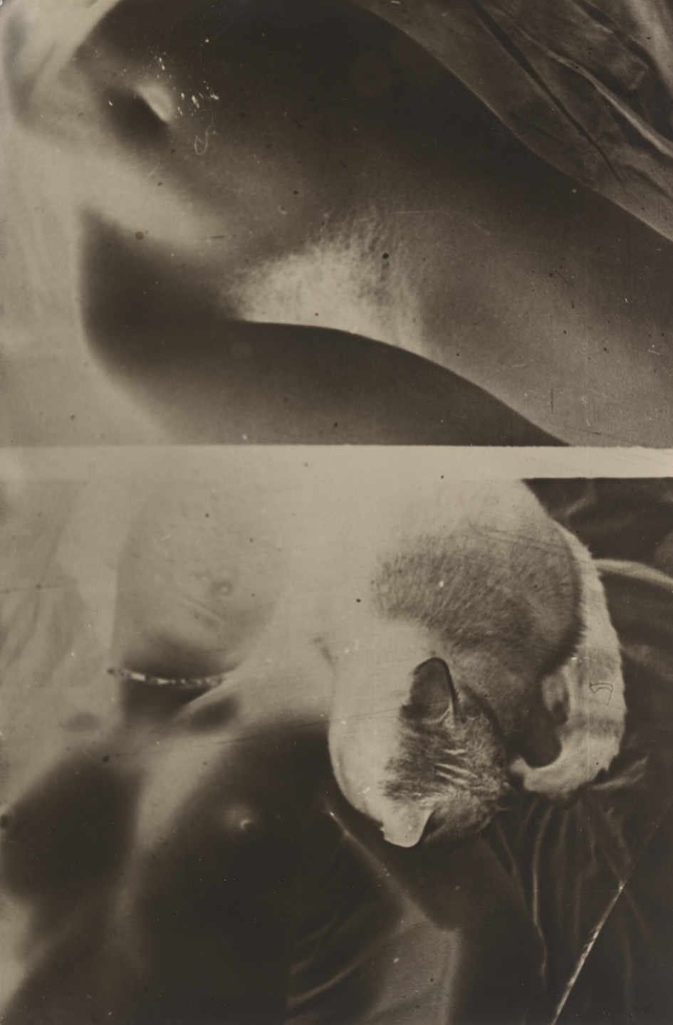 Franz Roh. Untitled. 1928–33