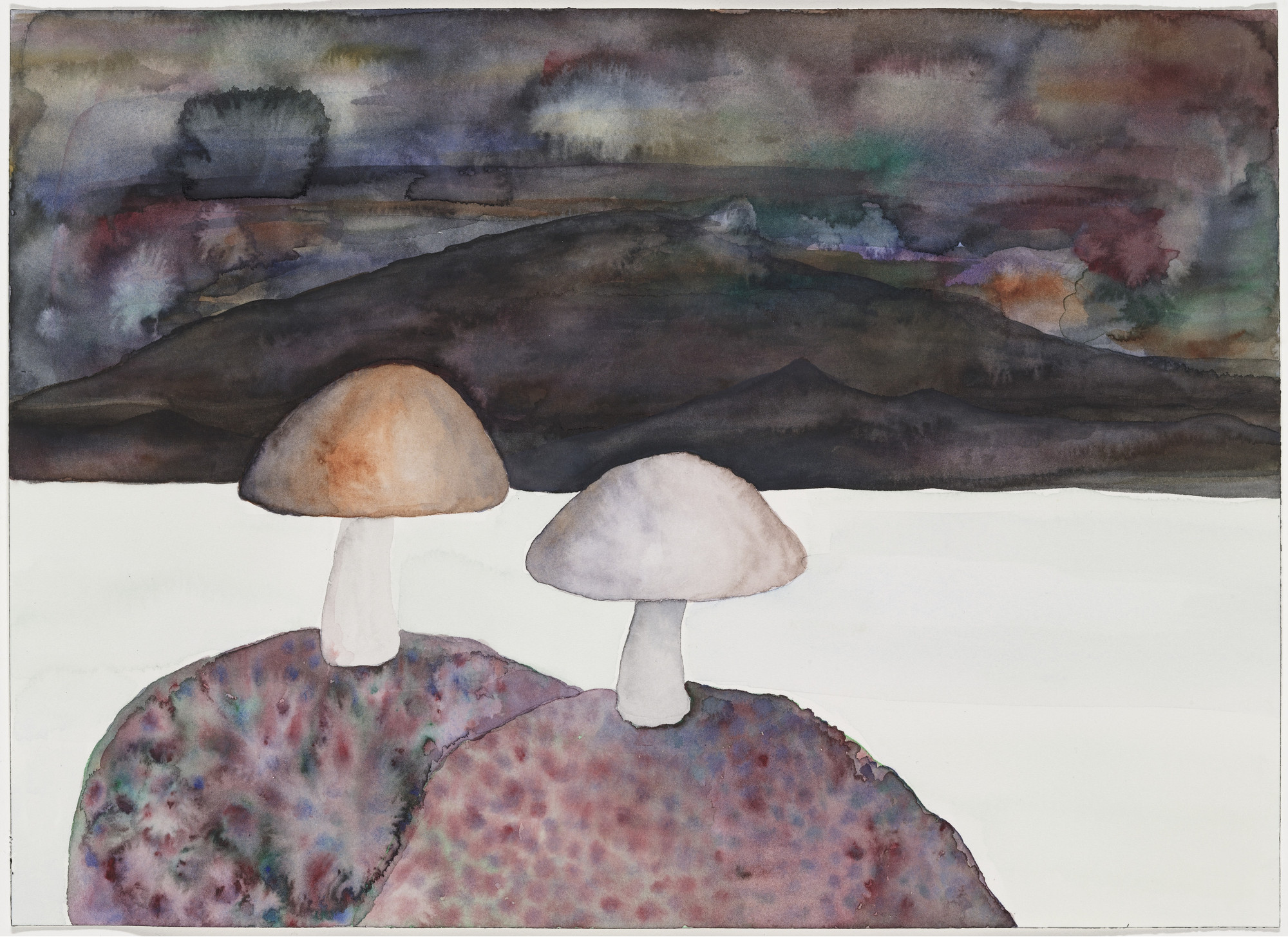 Chris Vasell. Untitled