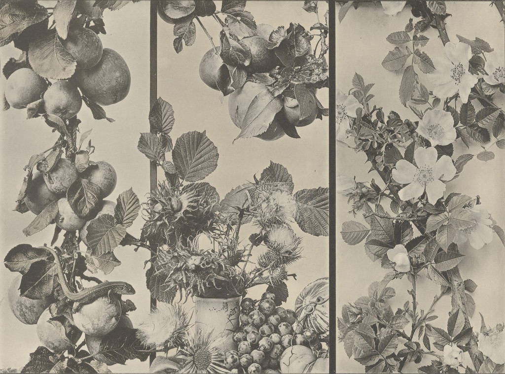 Page from Festons und Dekorative Gruppen