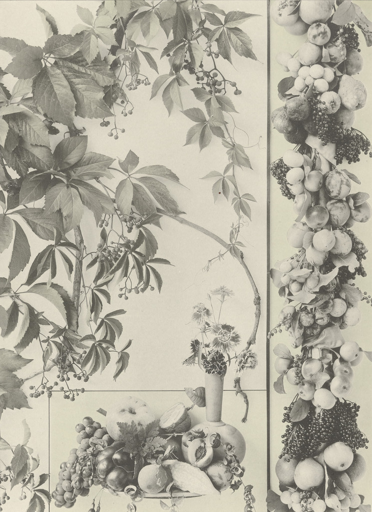 Page from Festons und Dekorative Gruppen