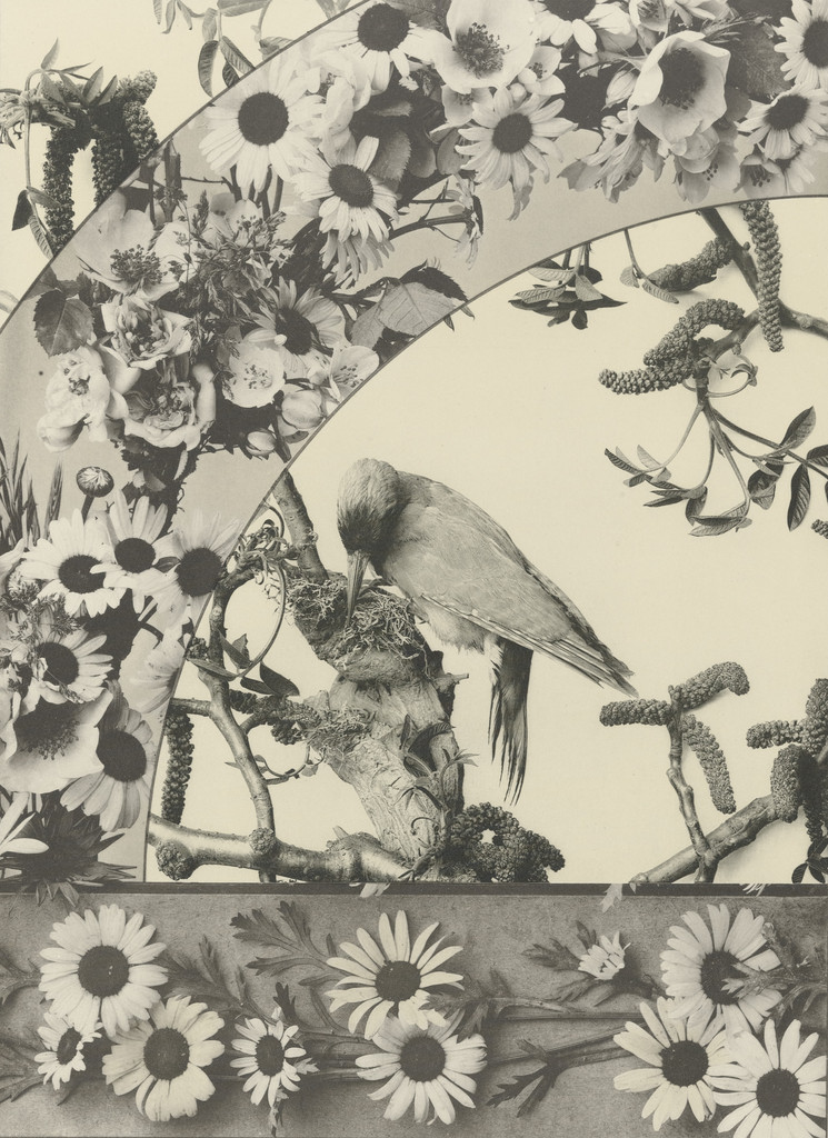 Page from Festons und Dekorative Gruppen