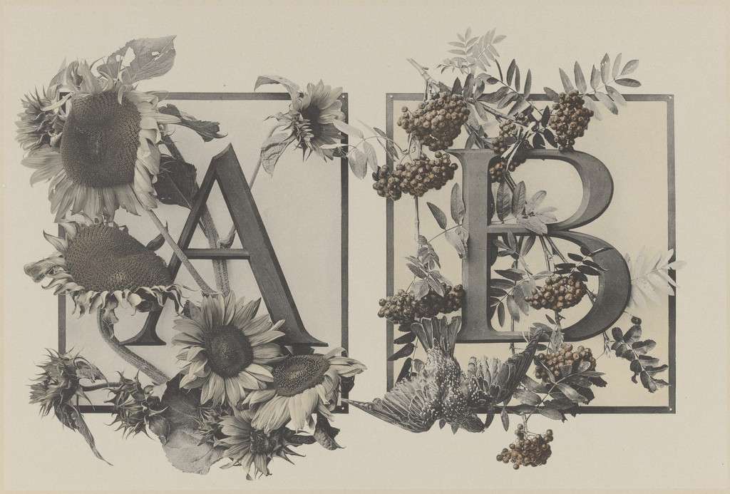 Page from Festons und Dekorative Gruppen