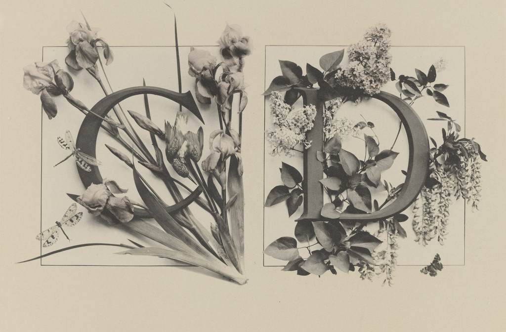 Page from Festons und Dekorative Gruppen