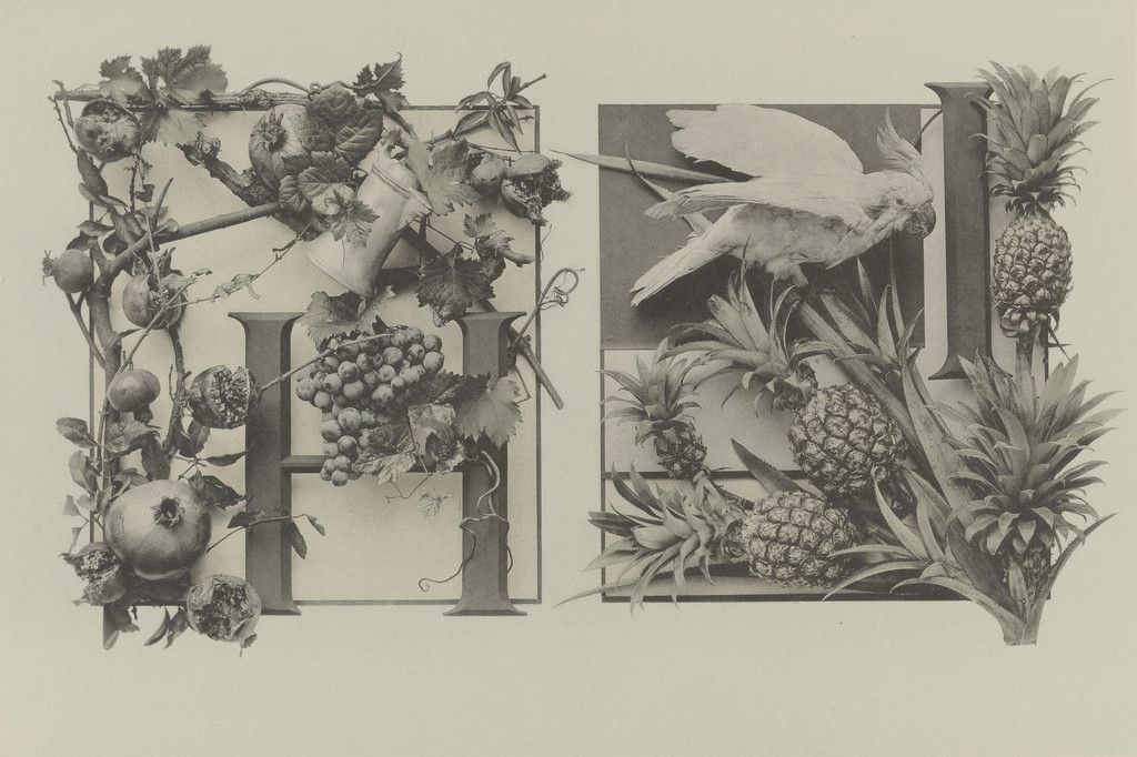 Page from Festons und Dekorative Gruppen