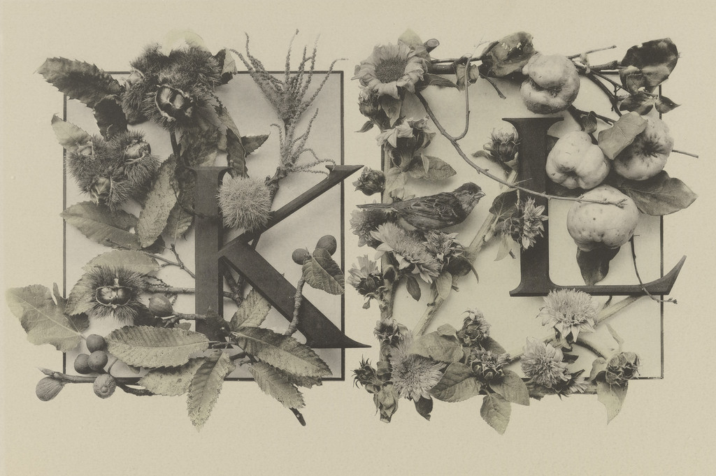 Page from Festons und Dekorative Gruppen