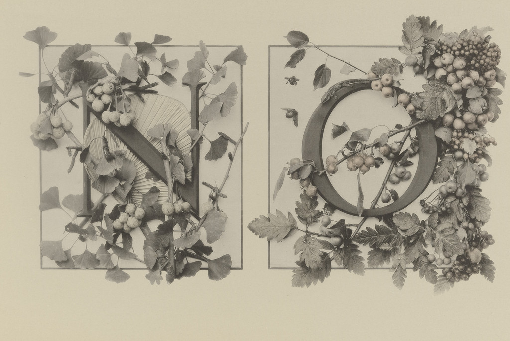 Page from Festons und Dekorative Gruppen