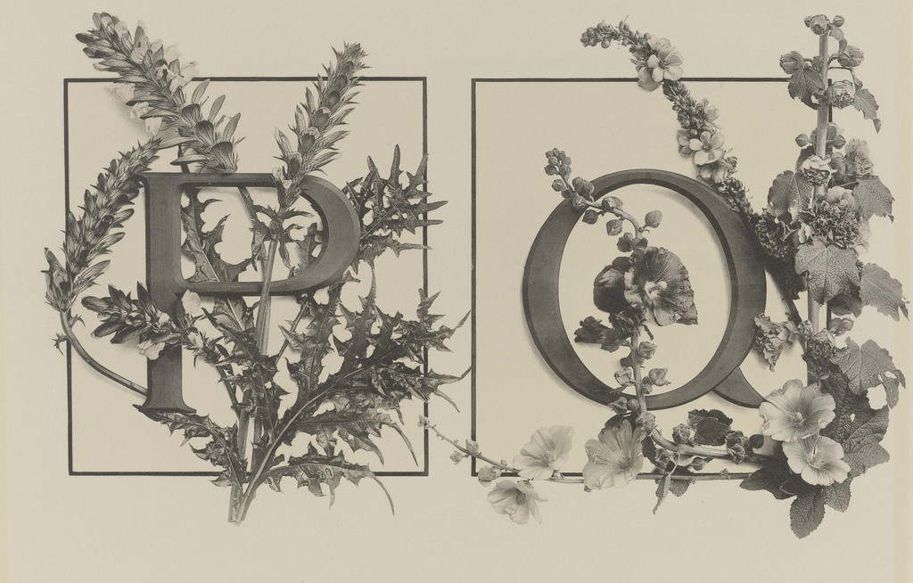 Page from Festons und Dekorative Gruppen