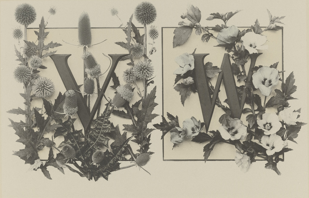 Page from Festons und Dekorative Gruppen