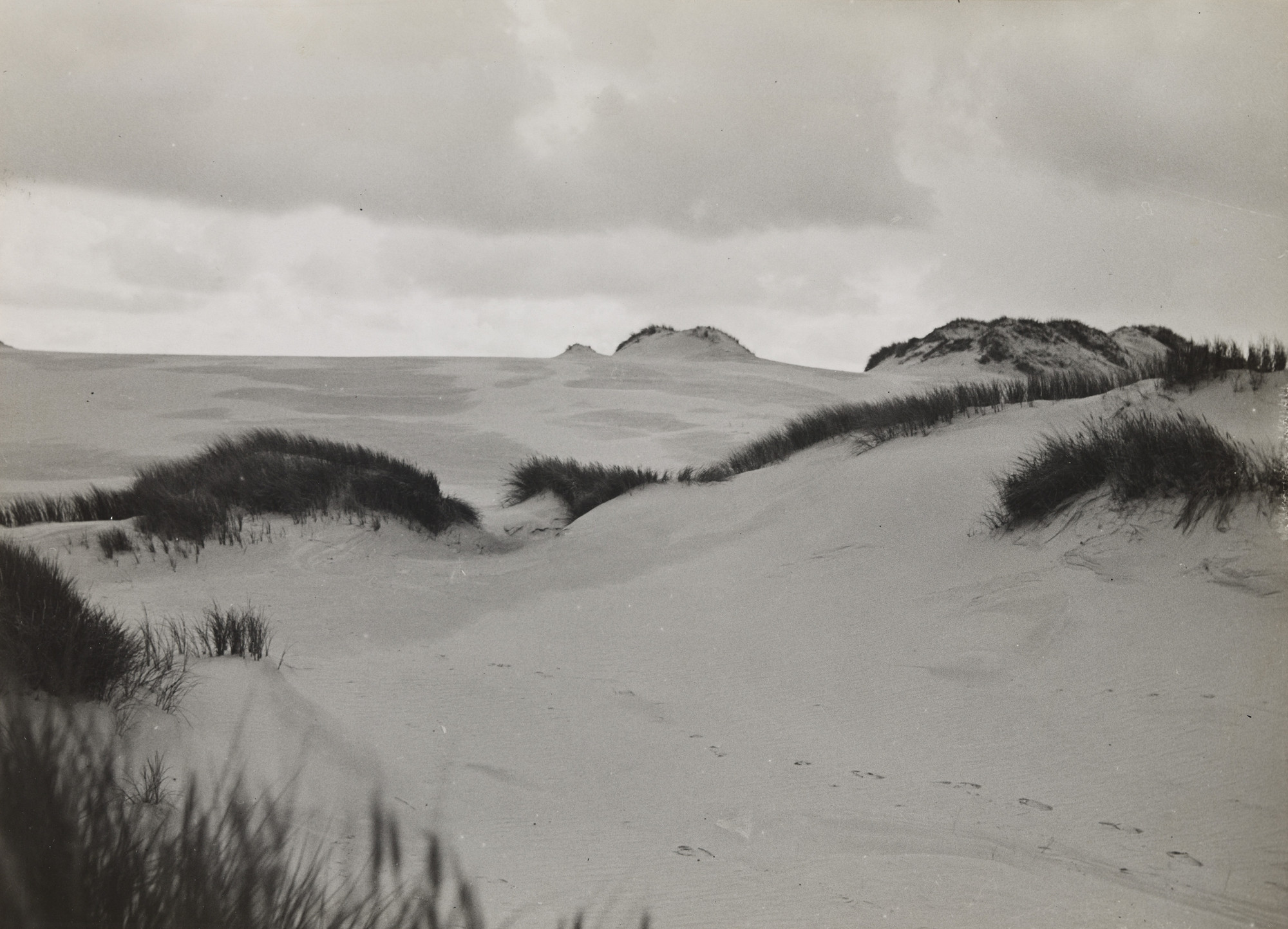 Raoul Hausmann. Dune in Salesk