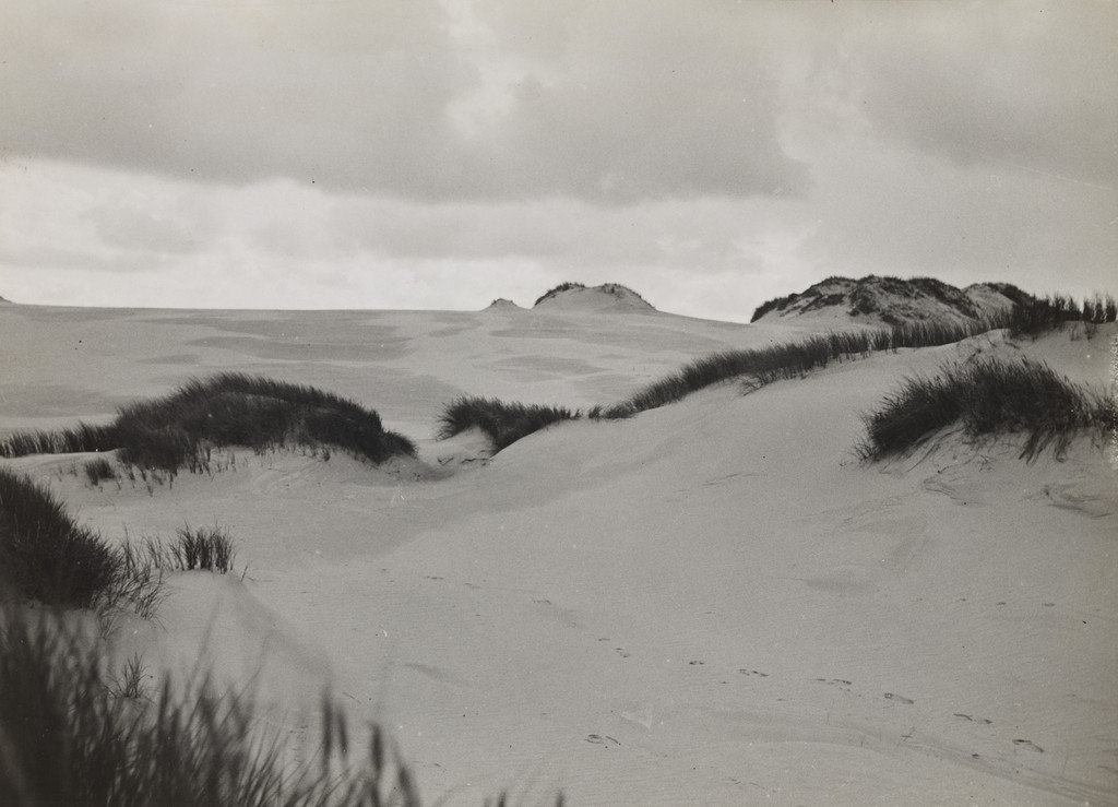 Dune in Salesk by Raoul Hausmann