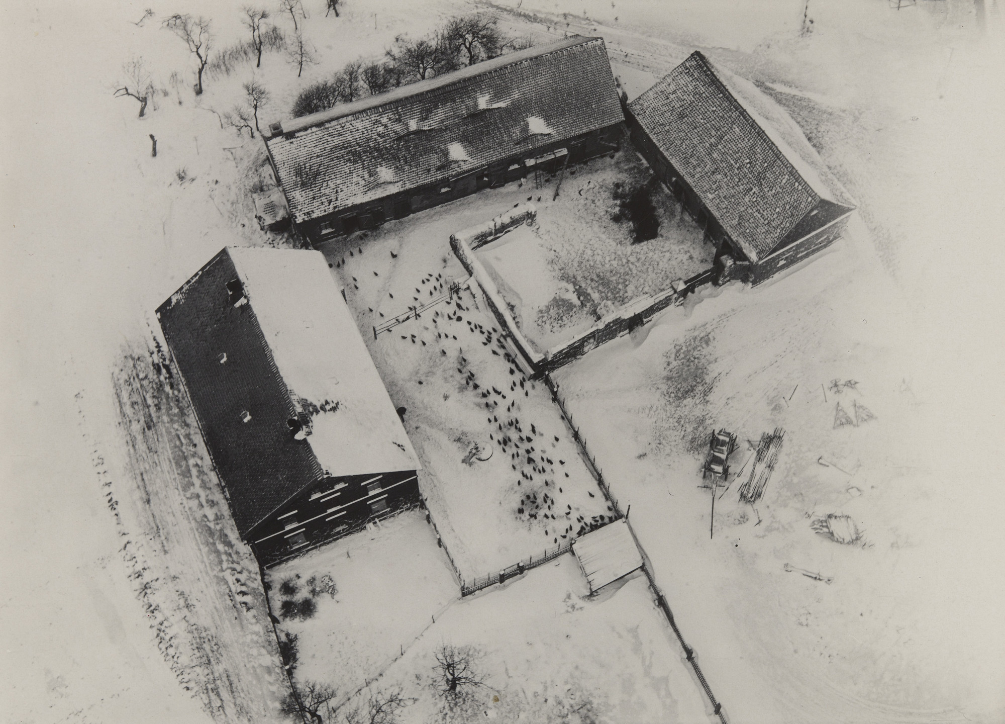 Robert Petschow. Chicken Farm in Snow