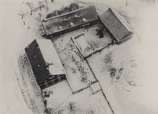 Chicken Farm in Snow