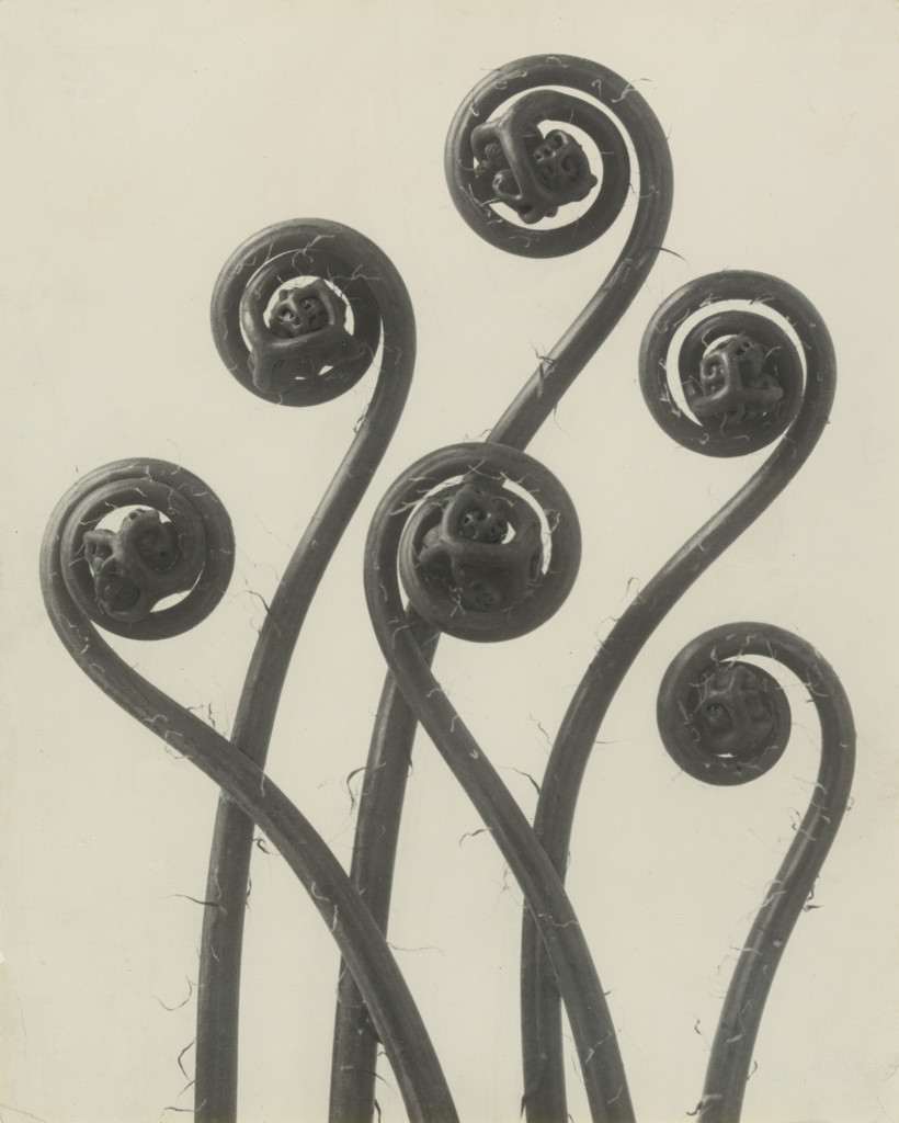 Six