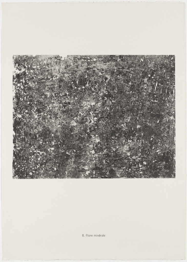 Mineral plants (Flore minérale) from the portfolio The Elemental (L' Elémentaire) from Phenomena (Les Phénomènes)