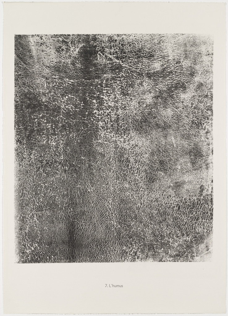 Humus (L'Humus) from the portfolio The Taker of Imprints (Le Preneur d'empreintes) from Phenomena (Les Phénomènes)