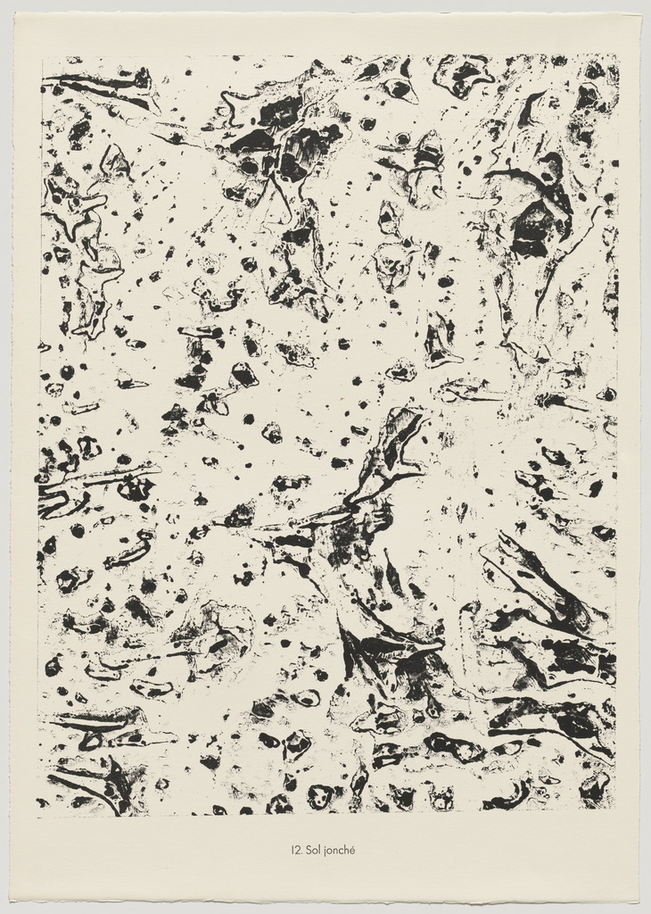 Strewn Earth (Sol jonché) from the portfolio Theater of the Earth (Théâtre du sol) from Phenomena (Les Phénomènes)