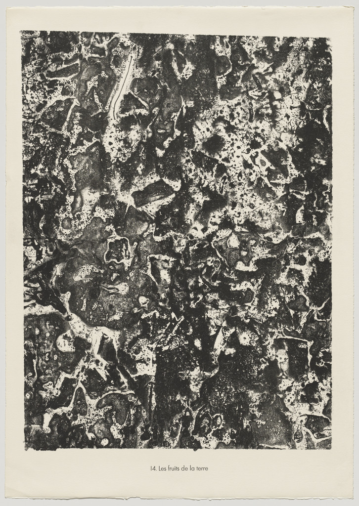 The Fruits of the Land (Les fruits de la terre) from the portfolio Theater of the Earth (Théâtre du sol) from Phenomena (Les Phénomènes)