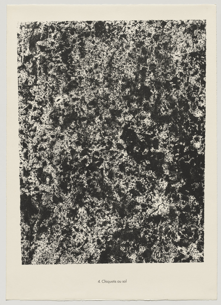 Chewed Soil (Chiquetis au sol) from the portfolio Theater of the Earth (Théâtre du sol) from Phenomena (Les Phénomènes)