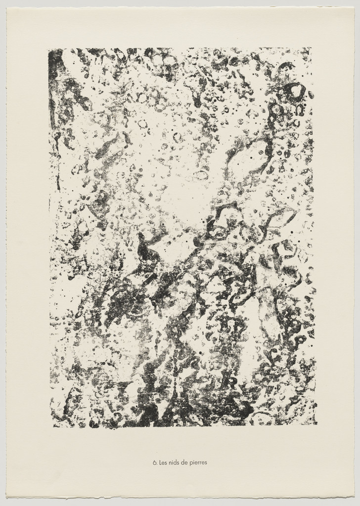 Nests of Stone (Les nids de pierres) from the portfolio Theater of the Earth (Théâtre du sol) from Phenomena (Les Phénomènes)