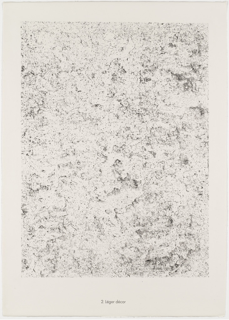 Fragile Decor (Léger décor) from the portfolio Textures from Phenomena (Les Phénomènes)