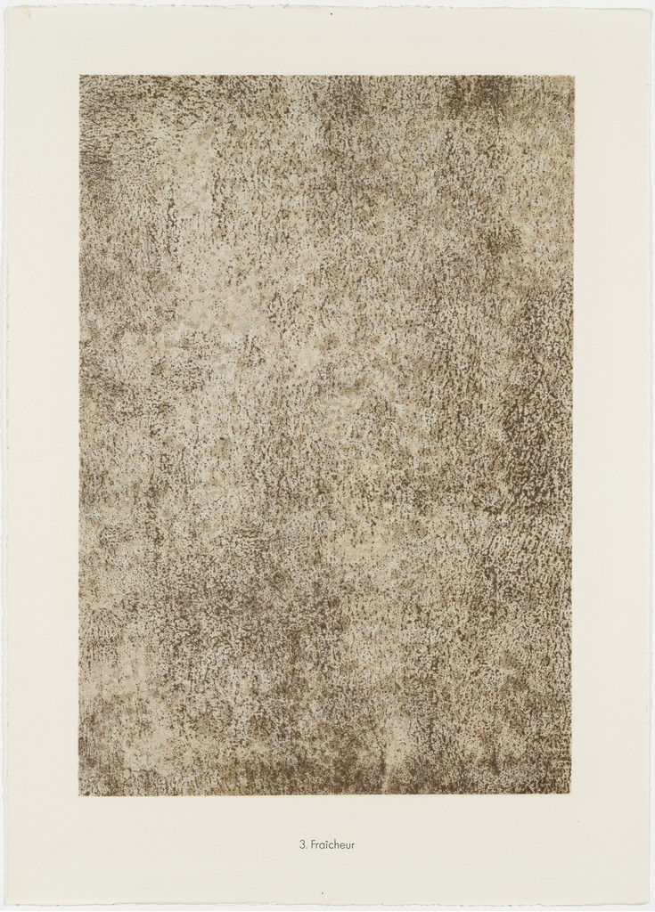 Freshness (Fraîcheur) from Geography (Géographie) from Phenomena (Les Phénomènes)