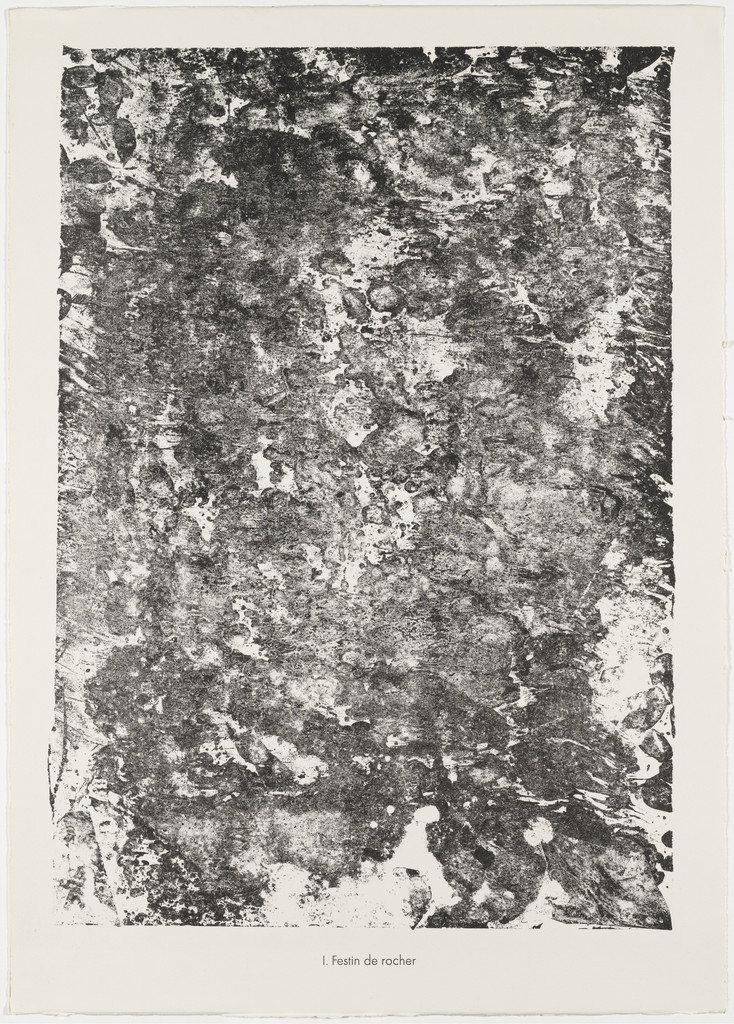 Rock Feast (Festin de rocher) from the portfolio Expanses, Partitions (Etendues, parois) from Phenomena (Les Phénomènes)