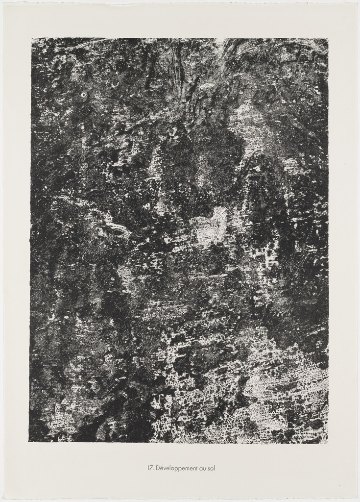 Soil Growth (Développement au sol) from the portfolio Expanses, Partitions (Etendues, parois) from Phenomena (Les Phénomènes)