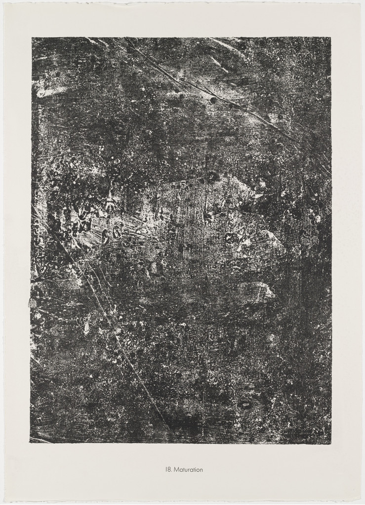 Maturation from the portfolio Expanses, Partitions (Etendues, parois) from Phenomena (Les Phénomènes)