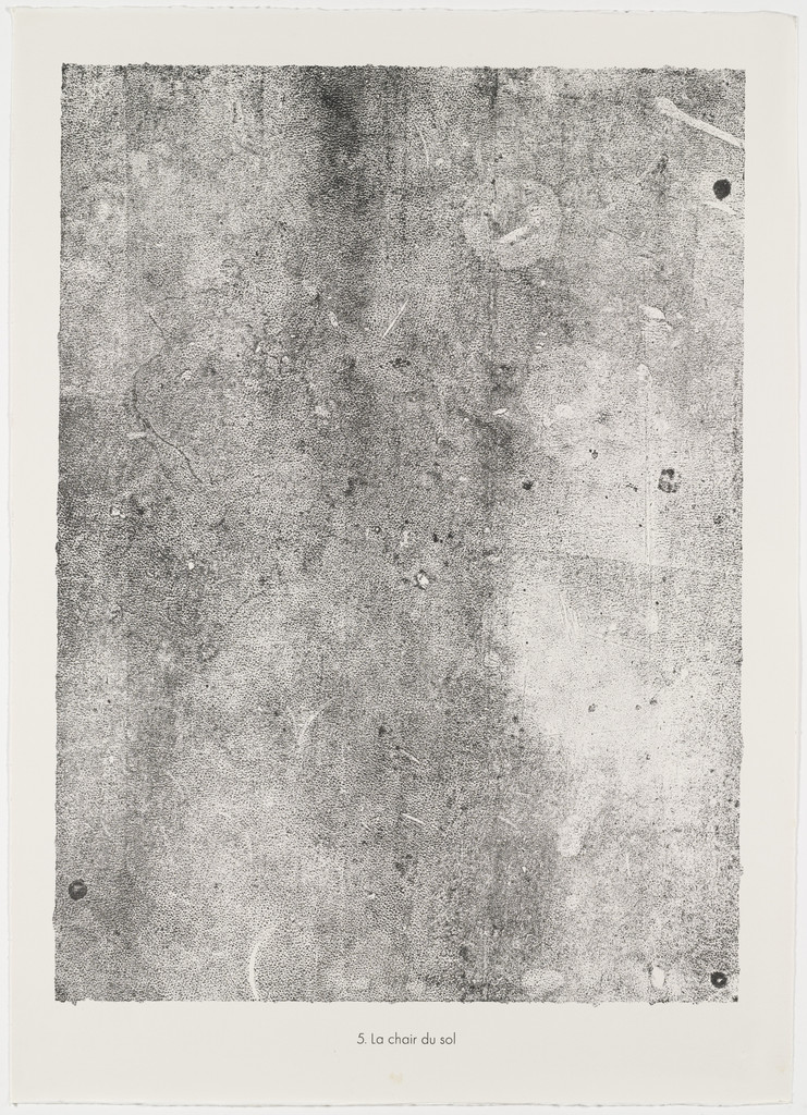 Earth Flesh (La chair du sol) from the portfolio Expanses, Partitions (Etendues, parois) from Phenomena (Les Phénomènes)