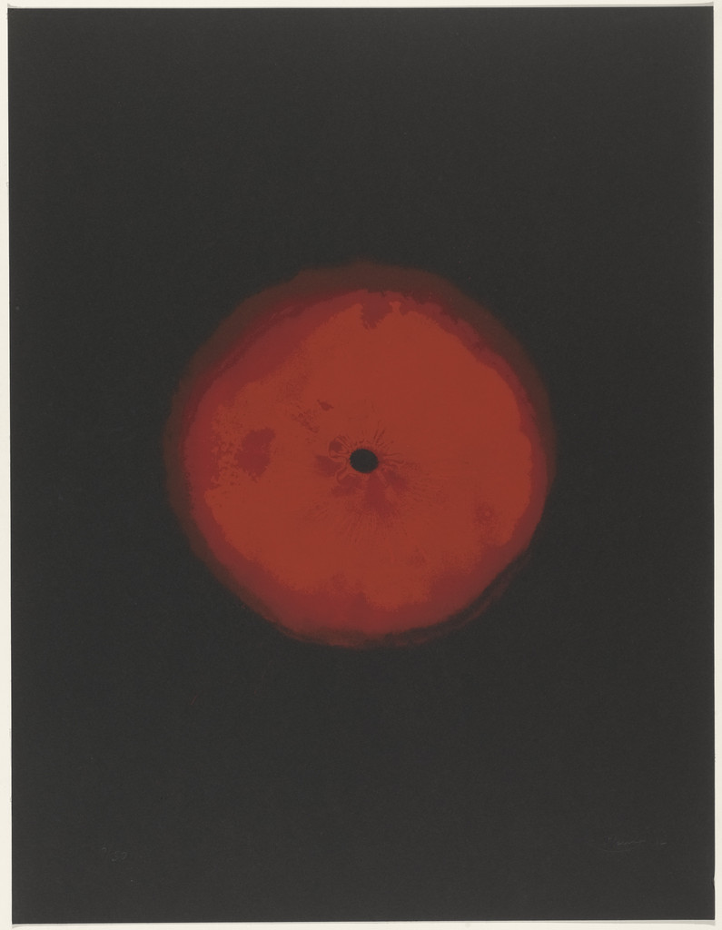 Plate (folio 8) from the portfolio Rose or Star (Rose oder Stern)