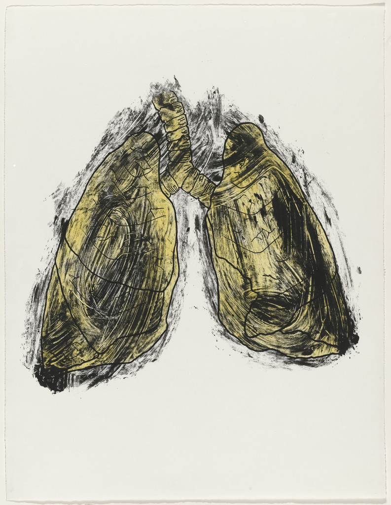 Lungs from Possession Is Nine-Tenths of the Law, Kiki Smith, 1985