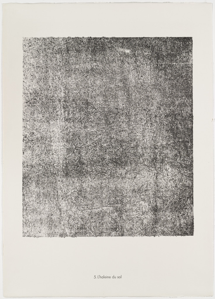 The Breath of the Earth (L'haleine du sol) from the portfolio Textures from Phenomena (Les Phénomènes)