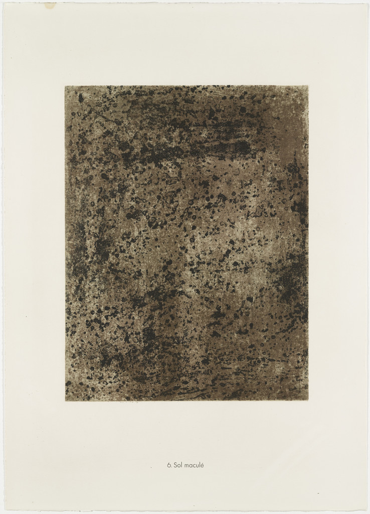 Maculated Soil (Sol maculé) from Geography (Géographie) from Phenomena (Les Phénomènes)