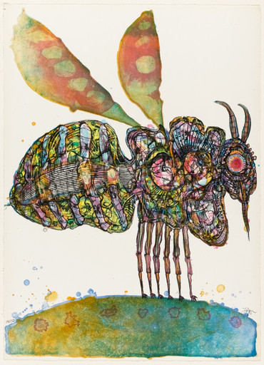 Plate (folio 5) from The Bee (Die Biene)
