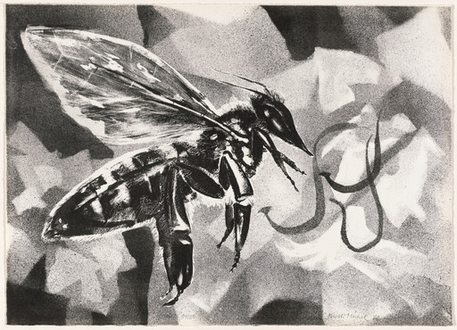 Plate (folio 6) from The Bee (Die Biene)