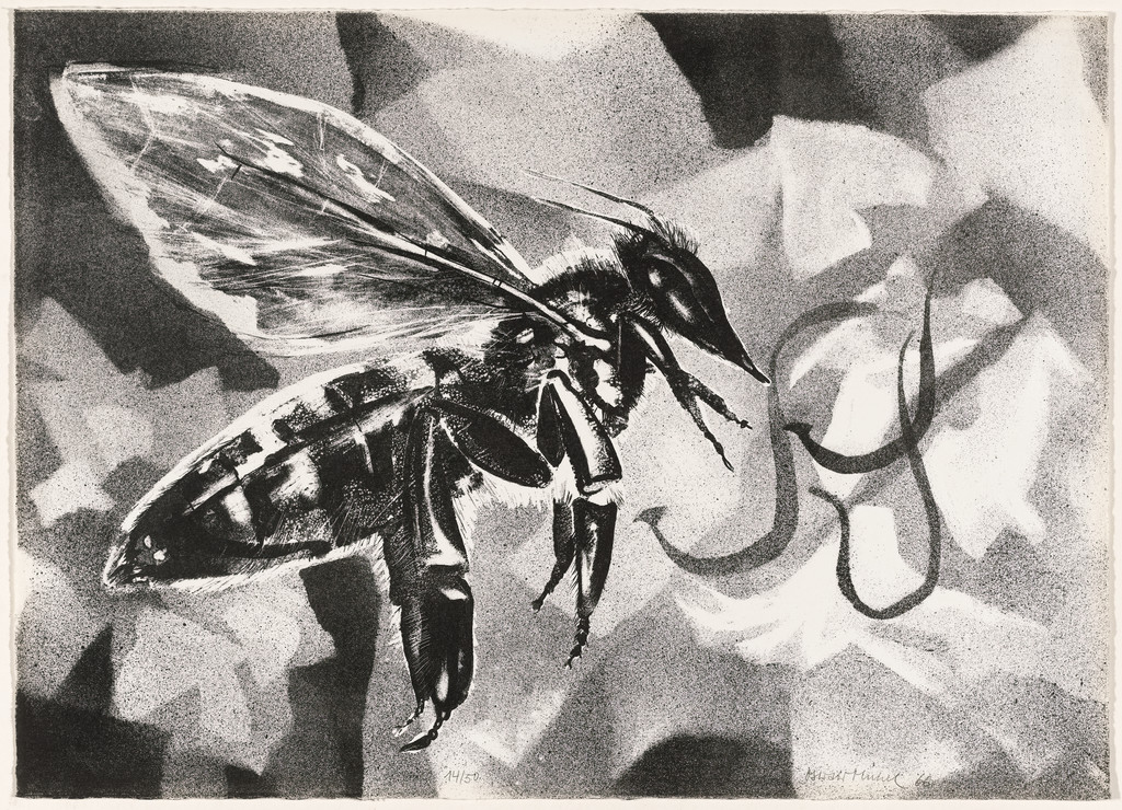 Plate (folio 5) from The Bee (Die Biene)