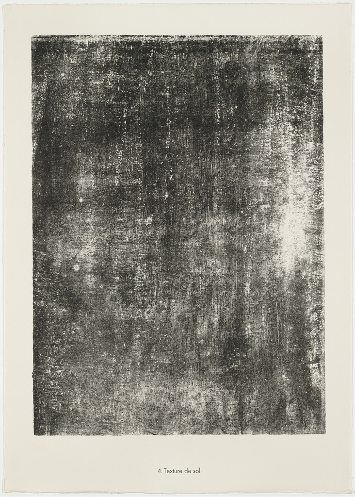 Texture of Earth (Texture de sol) from the portfolio Soil, Earth (Sols, terres) from Phenomena (Les Phénomènes)