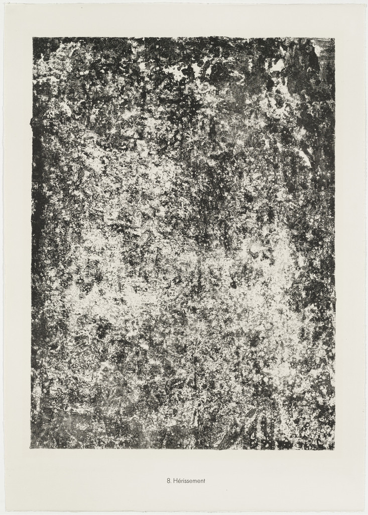 Thorny (Hérissement) from the portfolio Soil, Earth (Sols, terres) from Phenomena (Les Phénomènes)