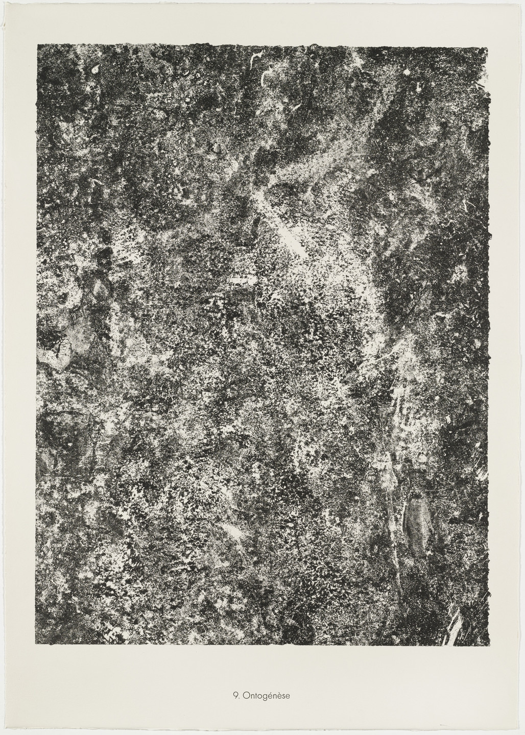 Jean Dubuffet. Ontogenesis (Ontogénèse) from the portfolio Soil, Earth (Sols, terres) from Phenomena (Les Phénomènes). 1959