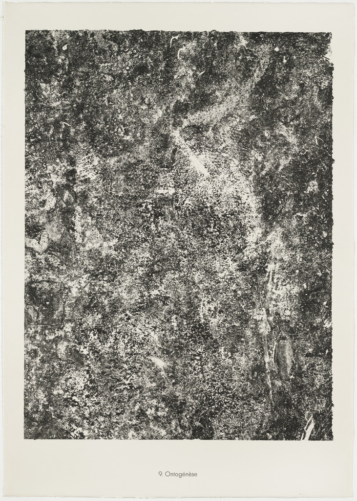 Ontogenesis (Ontogénèse) from the portfolio Soil, Earth (Sols, terres) from Phenomena (Les Phénomènes)